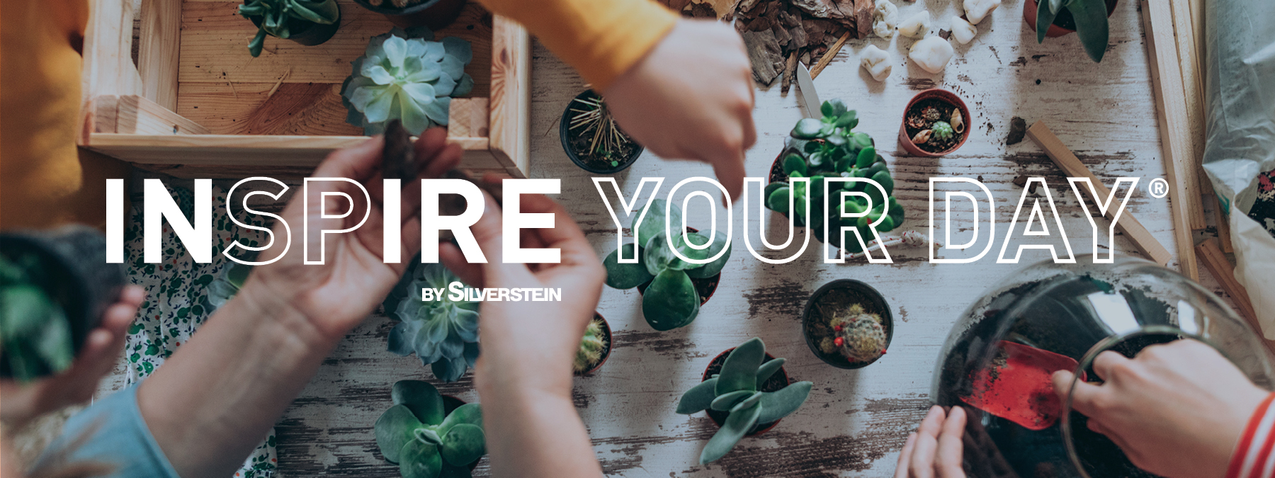 Inspire your day Inspire your day - people planting plants with crafts
